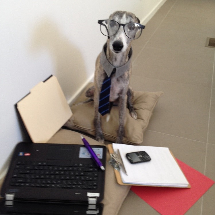 If you have dog days at work you need a Productivity Coach.